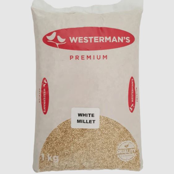 1KG White Millet